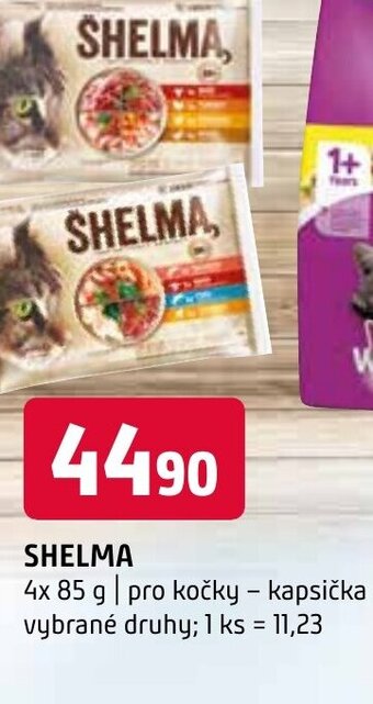 Terno SHELMA nabídka