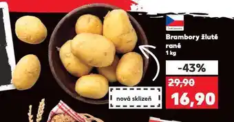 Kaufland Brambory žluté nabídka