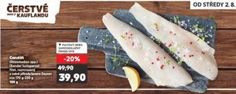 Kaufland Candát nabídka