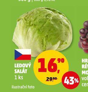 Penny Market Ledový salát nabídka