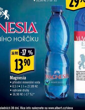 Albert Magnesia nabídka