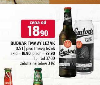 Terno Pivo budvar nabídka