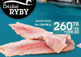 Jip Sumeček africký filet (200-400 g) nabídka