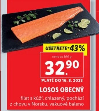 Lidl LOSOS OBECNÝ nabídka