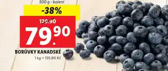Lidl BORŮVKY KANADSKÉ nabídka