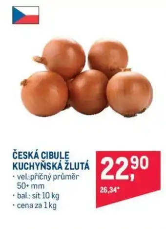 Makro ČESKÁ CIBULE nabídka