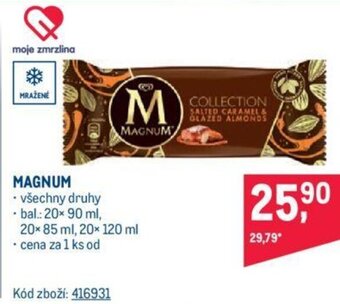 Makro MAGNUM nabídka