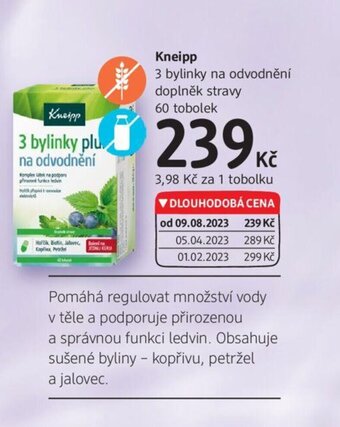 dm drogerie Kneipp nabídka