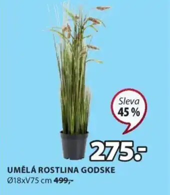 JYSK UMĚLÁ ROSTLINA GODSKE Ø18xV75 cm 499,- nabídka