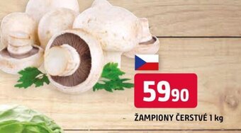 ŽAMPIONY ČERSTVÉ 1 kg