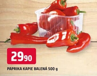 Trefa PAPRIKA KAPIE BALENÁ 500 g nabídka