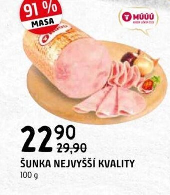 Terno ŠUNKA NEJVYŠŠÍ KVALITY nabídka