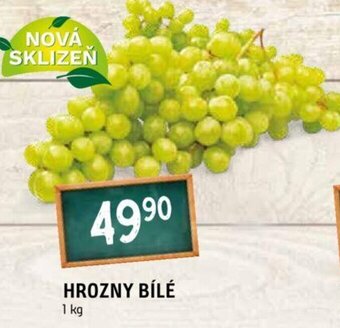 Terno HROZNY BÍLÉ nabídka