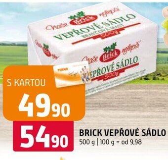 Terno BRICK VEPŘOVÉ SÁDLO nabídka