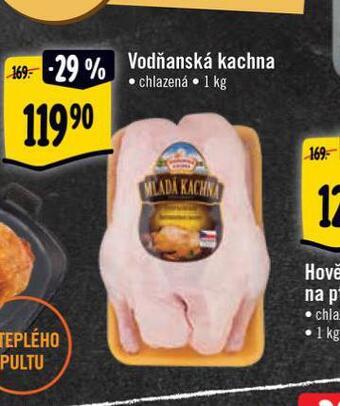 Albert Vodňanská kachna nabídka