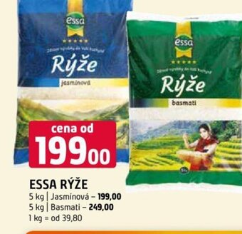 Terno ESSA RÝŽE nabídka