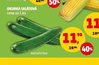 Penny Market Okurka salátová nabídka