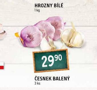 Terno Česnek nabídka