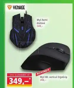 Myš