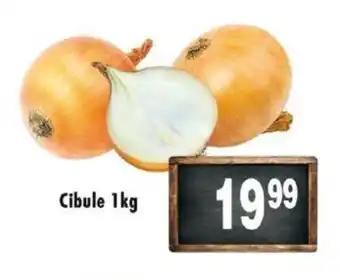 Qanto Cibule 1kg nabídka