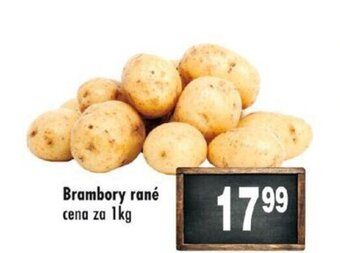 Qanto Brambory rané nabídka