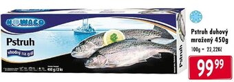 Qanto Pstruh duhový mražený 450g nabídka