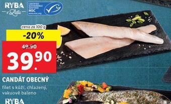 Lidl Candát obecný nabídka