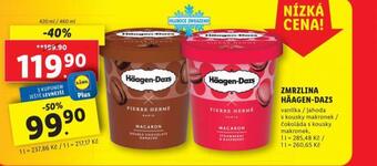 Lidl Häagen dazs zmrzlina nabídka