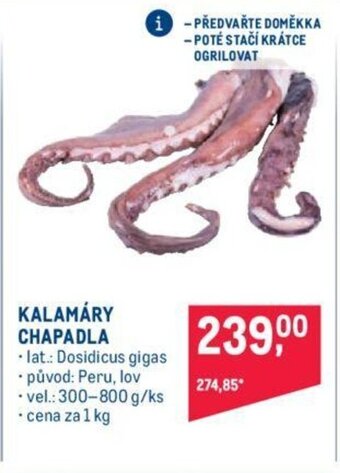 Makro KALAMÁRY CHAPADLA nabídka