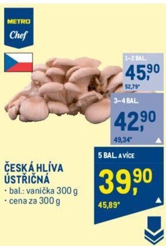 Makro ČESKÁ HLÍVA ÚSTŘIČNÁ nabídka