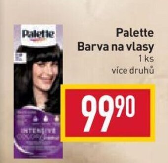 Billa Palette Barva na vlasy nabídka