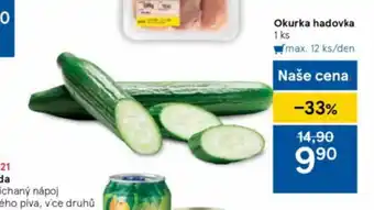 Okurka hadovka 1ks