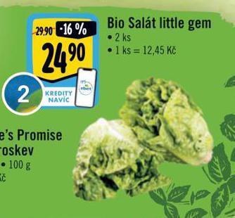 Albert Bio salát little gem nabídka