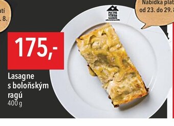 Globus Lasagne s boloňským ragú nabídka