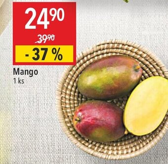 Globus Mango nabídka