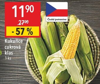 Globus Kukuřice cukrová klas nabídka