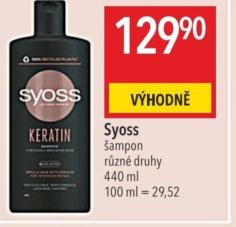 Globus Syoss nabídka