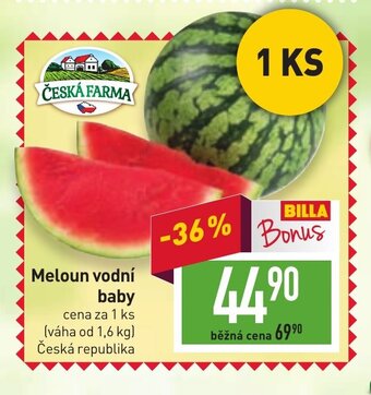 Billa Meloun vodní baby nabídka