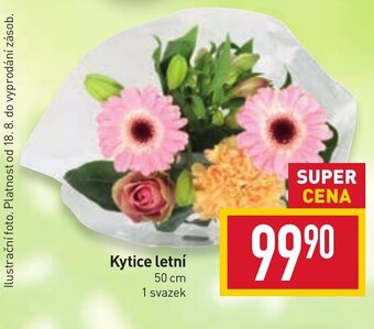 Billa Kytice letní nabídka
