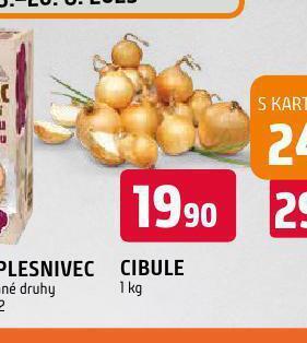 Terno Cibule nabídka