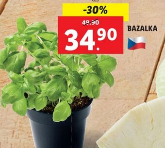 Lidl BAZALKA nabídka