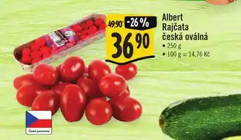 Jip Rajčata česká oválná nabídka