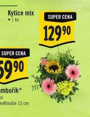 Jip Kytice mix nabídka