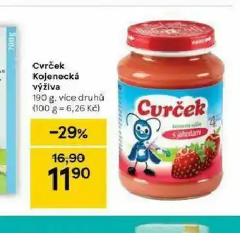 Tesco Cvrček kojenecká výživa nabídka