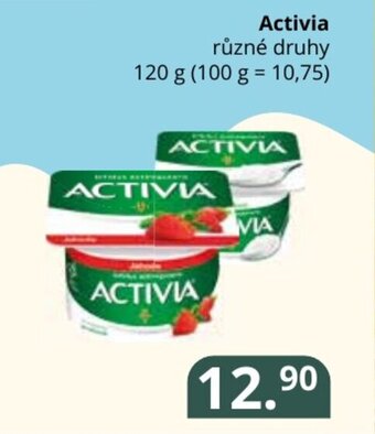 Potraviny CZ Activia nabídka