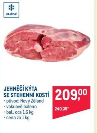 Makro JEHNĚČÍ KÝTA SE STEHENNÍ KOSTÍ nabídka