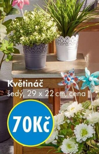 TEDi Květináč nabídka