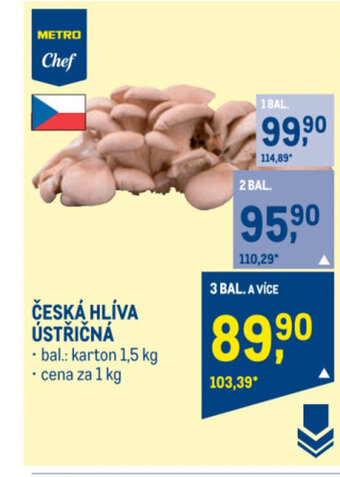 Makro ČESKÁ HLÍVA ÚSTŘIČNÁ nabídka