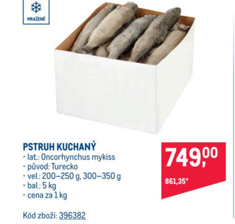 Makro PSTRUH KUCHANÝ nabídka
