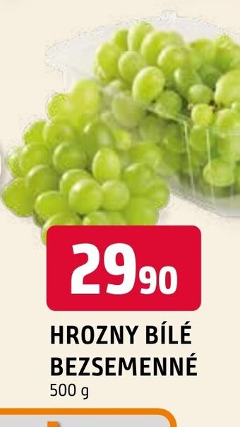 Terno HROZNY BÍLÉ BEZSEMENNÉ nabídka